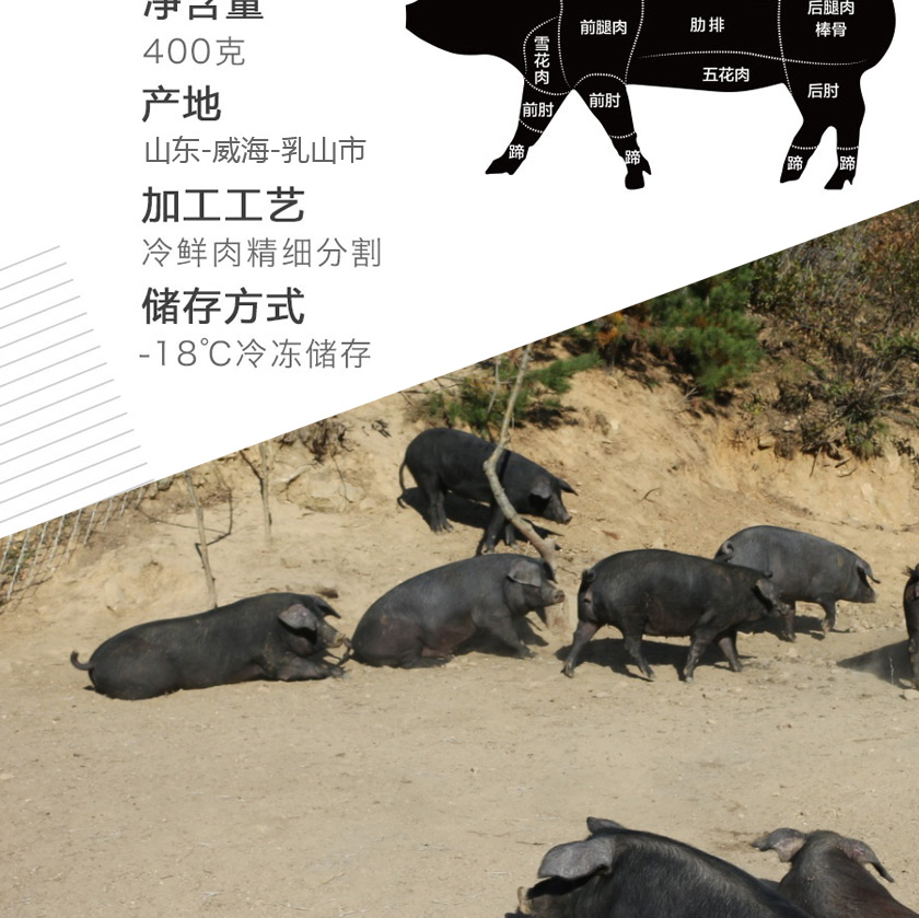 2-20111Q15201503.jpg